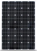 Monocrystalline Solar Module