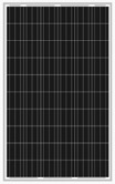 Polycrystalline Solar Module